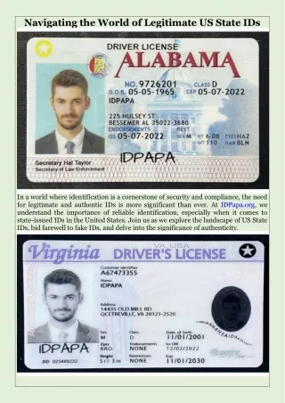 Navigating the World of Legitimate US State IDs