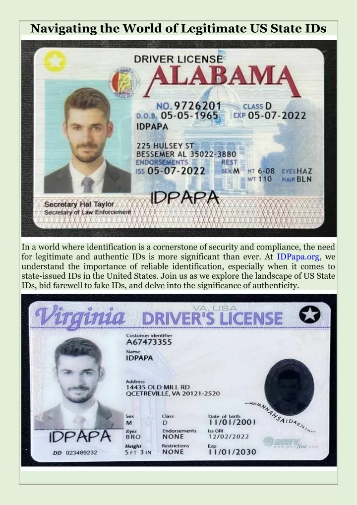 navigating the world of legitimate us state ids