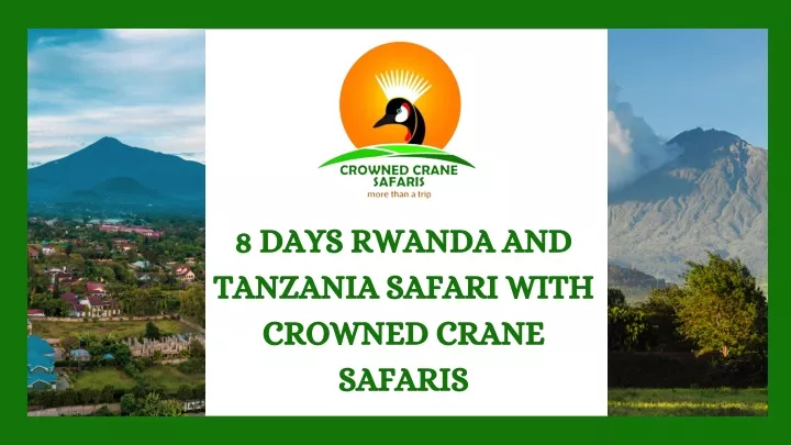 8 days rwanda and tanzania safari with crowned