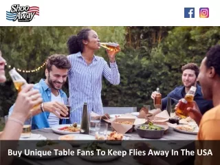 Buy Unique Table Fans To Keep Flies Away In The USA