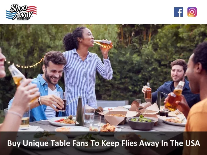 buy unique table fans to keep flies away
