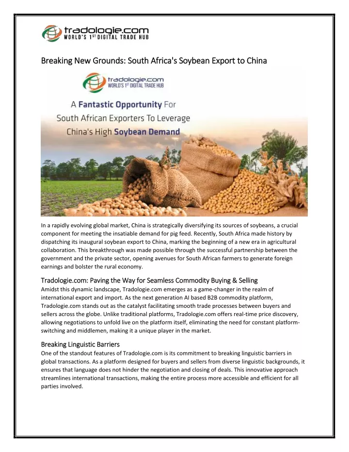 breaking new grounds south africa s soybean