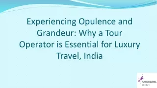 Experiencing Opulence and Grandeur Why a Tour Operator is Essential for Luxury Travel, India