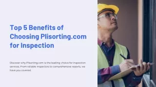 Top 5 Benefits of Choosing Plisorting.com for Inspection