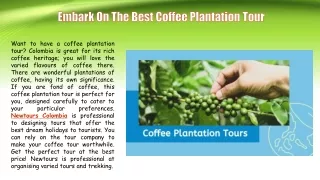 Embark On The Best Coffee Plantation Tour