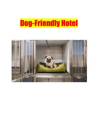Dog Friendly Hotel