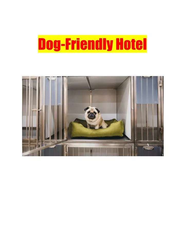 dog friendlyhotel