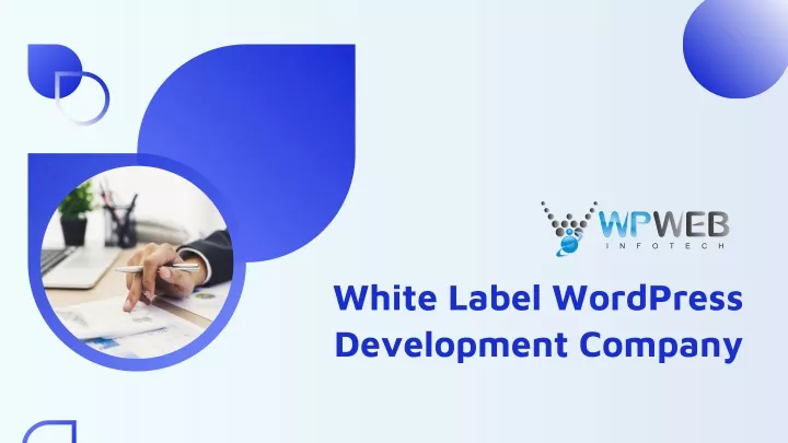 white label wordpress development company