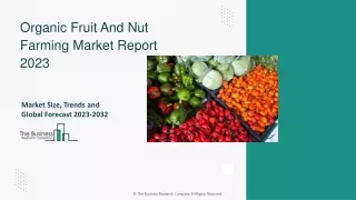 Organic Fruit And Nut Farming Market Share, Trends, Key Drivers By 2032
