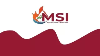 MSI Offers Professional Mold Inspection Services