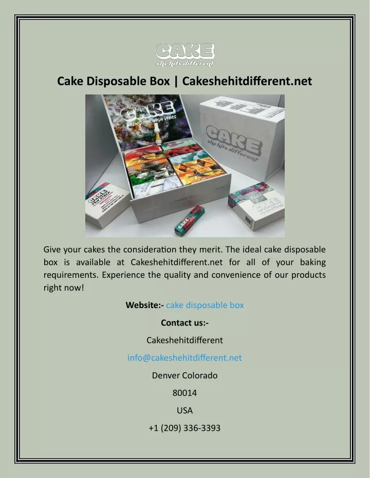 cake disposable box cakeshehitdifferent net