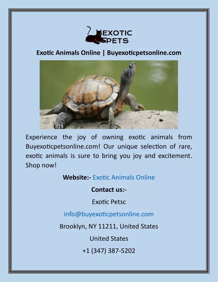 exotic animals online buyexoticpetsonline com