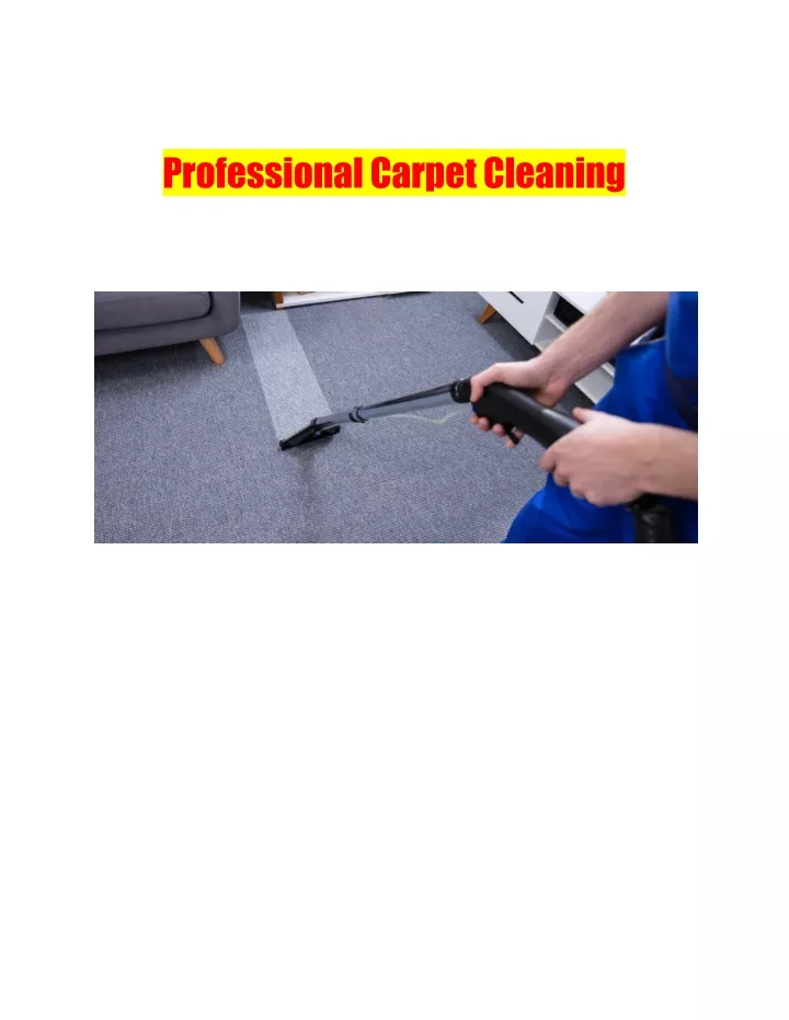 professionalcarpetcleaning