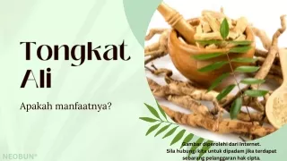 Manfaat Tongkat Ali