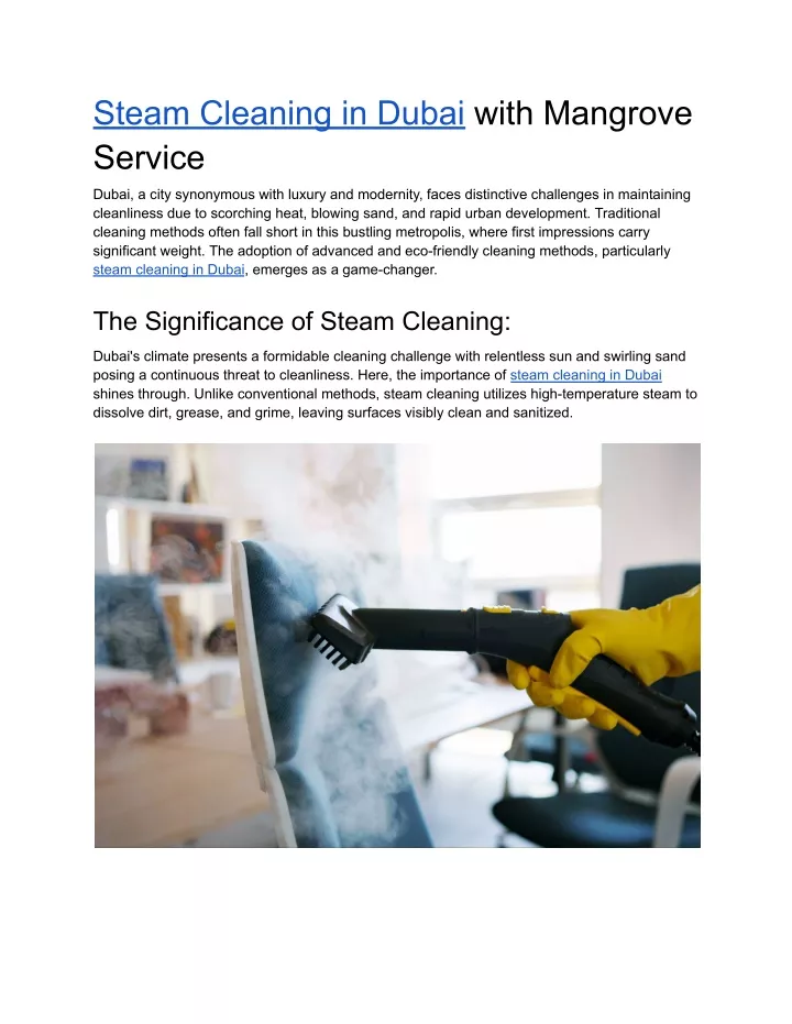 steam cleaning in dubai with mangrove service
