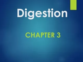 digestion