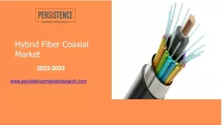 Hybrid Fiber Coaxial Market Analysis 2033: Size, Share, and Growth Insights