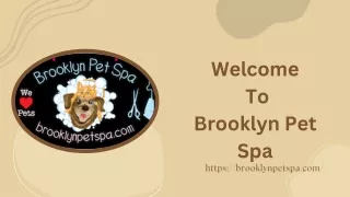 Dog Daycare Services