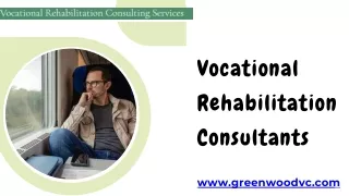 Transformative Role of Vocational Rehabilitation Consultants in Career