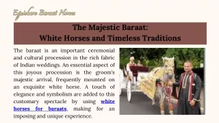 Graceful Journeys Equishare's White Horses in Baraat Celebrations