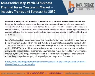 Asia-Pacific Deep Partial-Thickness Thermal Burns Treatment Market – Industry Trends and Forecast to 2030