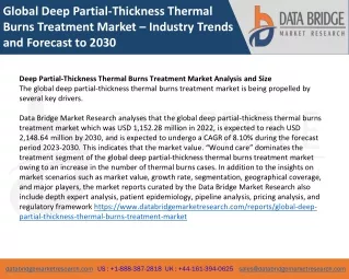 Global Deep Partial-Thickness Thermal Burns Treatment Market – Industry Trends and Forecast to 2030