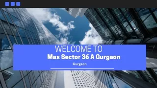 Max Sector 36A Gurgaon: A Sanctuary in the Heart of the City