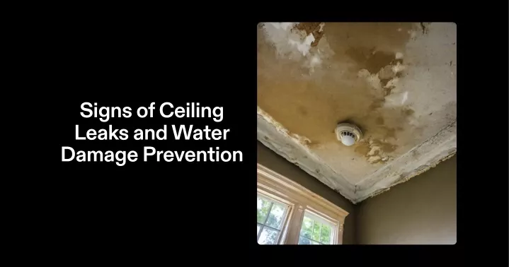 sign s of ceiling leak s and wa t e r damage