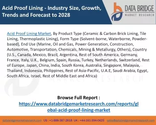 acid proof lining industry size growth trends