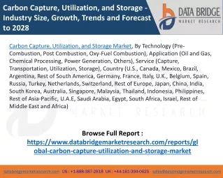 carbon capture utilization and storage industry