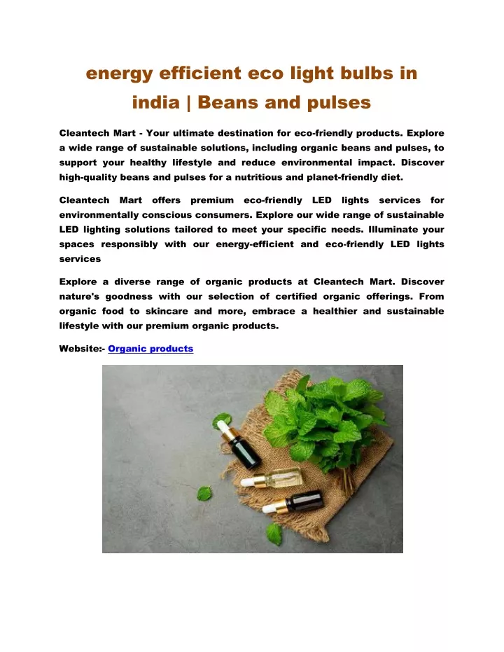 energy efficient eco light bulbs in india beans