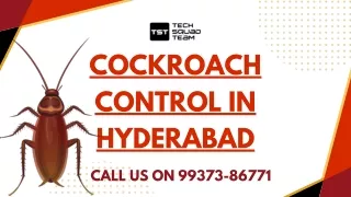 Cockroach Control in Hyderabad1