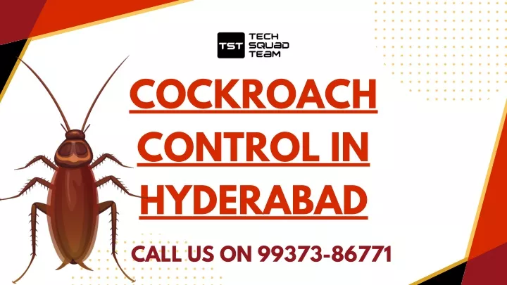 cockroach control in hyderabad