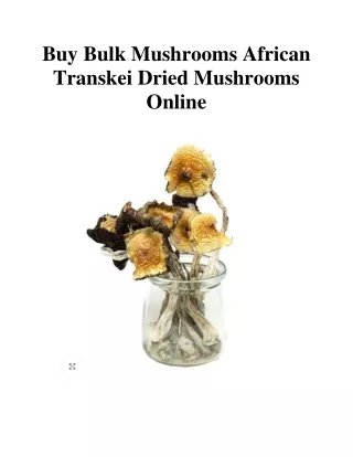Buy Bulk Mushrooms African Transkei Dried Mushrooms Online