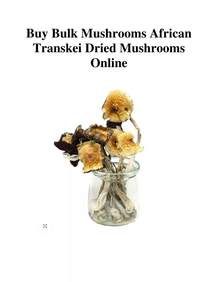 buy bulk mushrooms african transkei dried