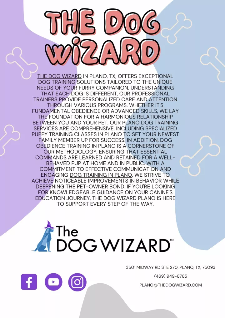 the dog wizard