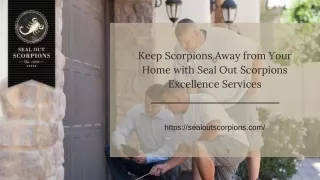 Keep Scorpions Away from Your Home with Seal Out Scorpions Excellence Services