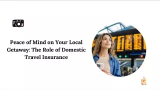 Peace of Mind on Your Local Getaway The Role of Domestic Travel Insurance