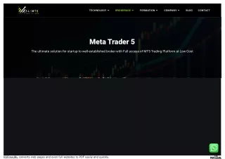 www_mt4greylabel_com_meta-trader-5_