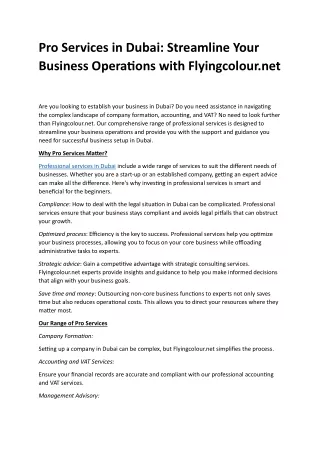 pro services in dubai streamline your business