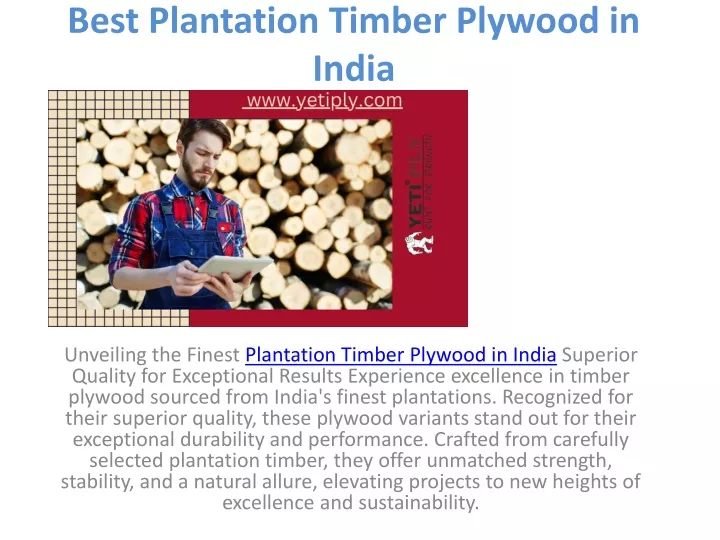 best plantation timber plywood in india