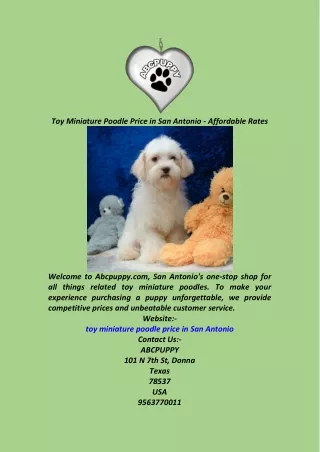 Toy Miniature Poodle Price in San Antonio  Affordable Rates