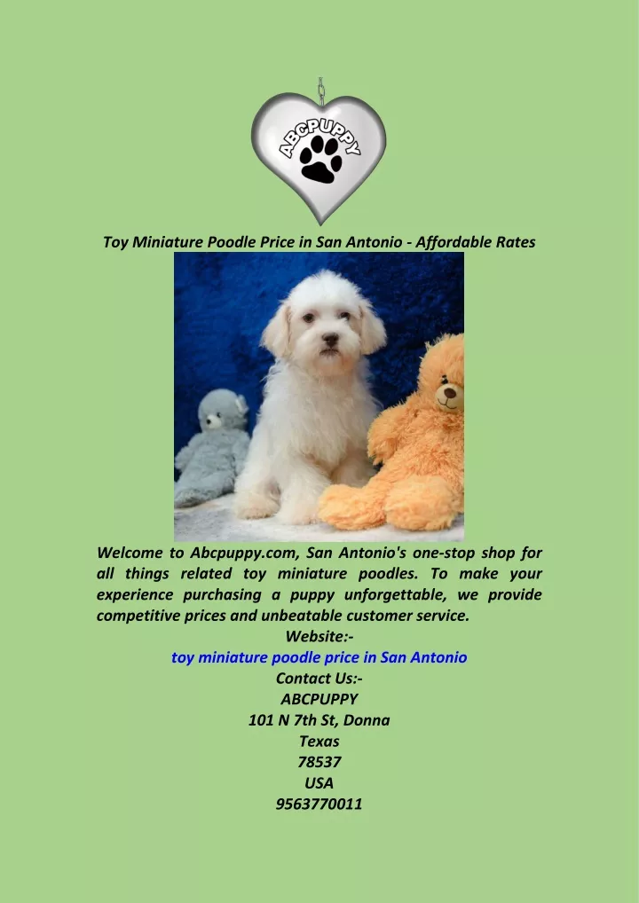 toy miniature poodle price in san antonio