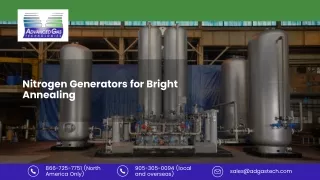 Nitrogen Generators for Bright Annealing