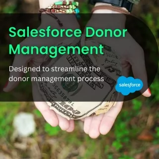 Salesforce Donor Management