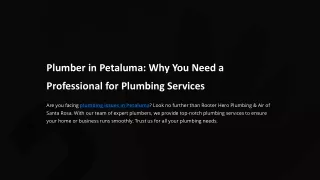 Plumber in Petaluma Why You Need a Professional for Plumbing Services