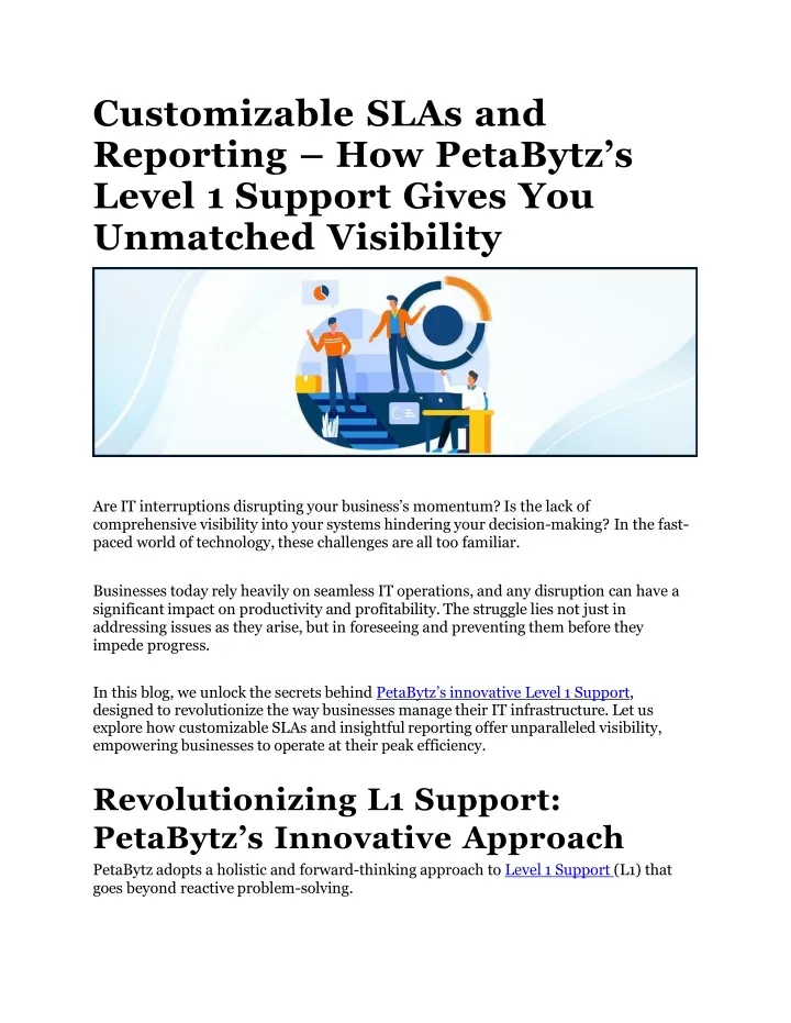 customizable slas and reporting how petabytz s level 1 support gives you unmatched visibility