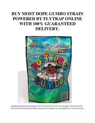 BUY MOST DOPE GUMBO STRAIN POWERED BY FLYTRAP ONLINE WITH 100