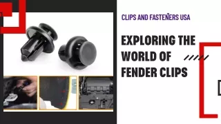 Exploring the World of Fender Clips