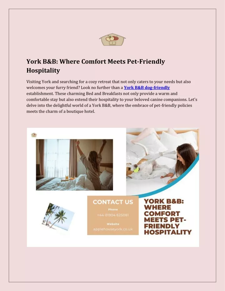 york b b where comfort meets pet friendly